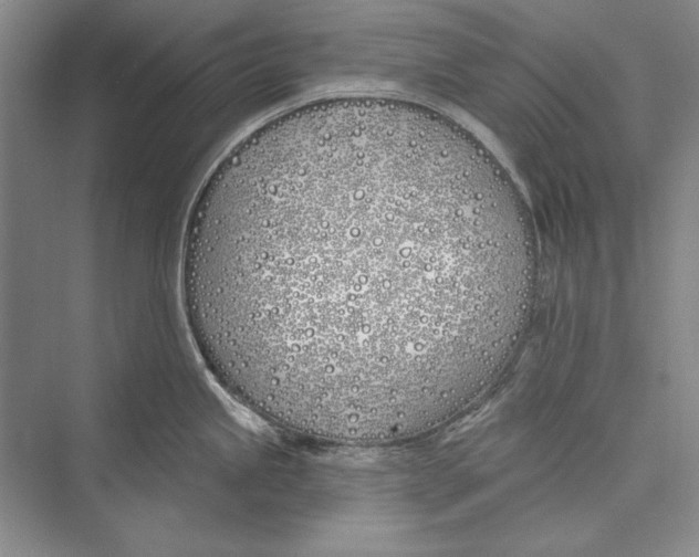 X0000072491245200608111554