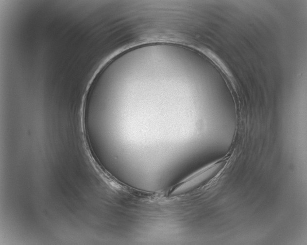 X0000072491246200608111554