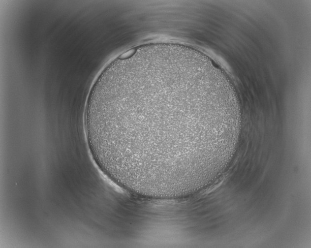 X0000072491247200608111554