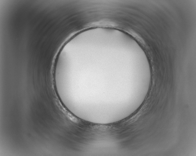 X0000072491248200608111554