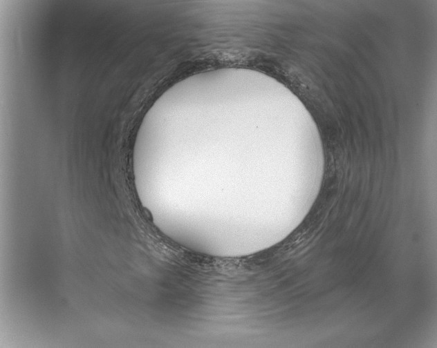 X0000072491249200608111553