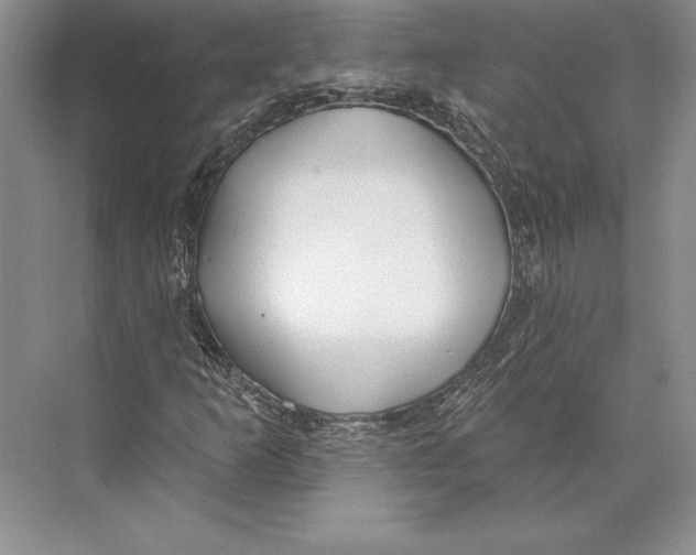 X0000072491253200608111553