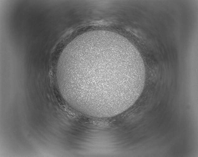 X0000072491254200608111553