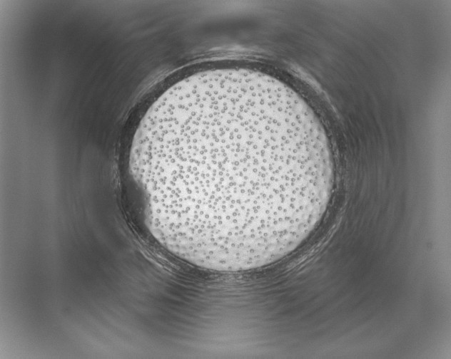 X0000072491259200608111553