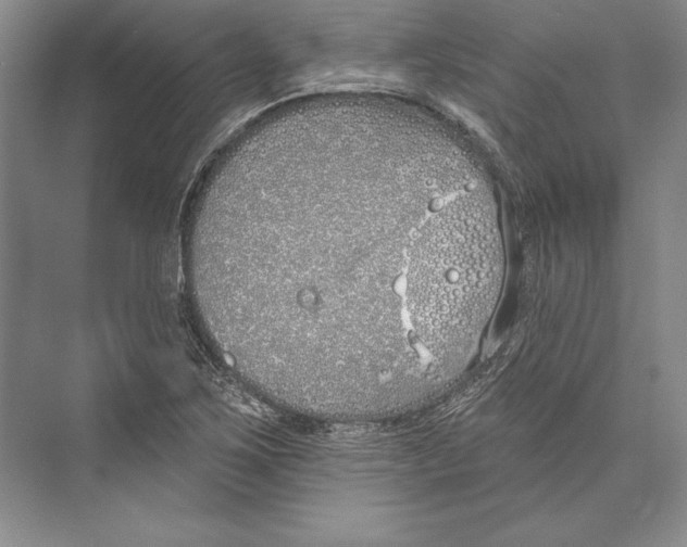 X0000072491267200608111553