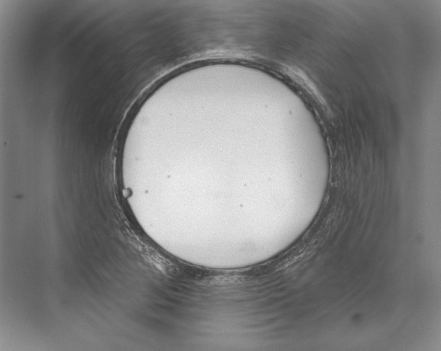 X0000072491268200608111553