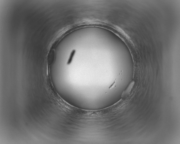 X0000072491269200608111553