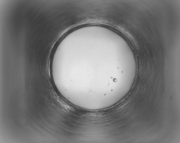 X0000072491272200608111552