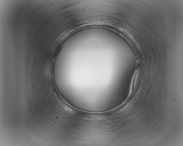 X0000072491273200608111552