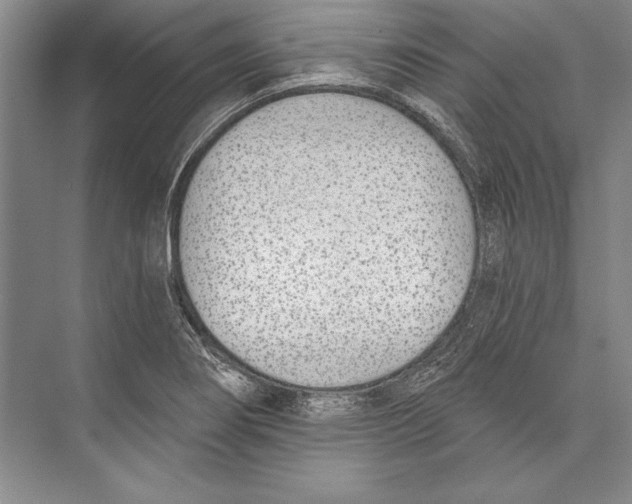 X0000072491274200608111552