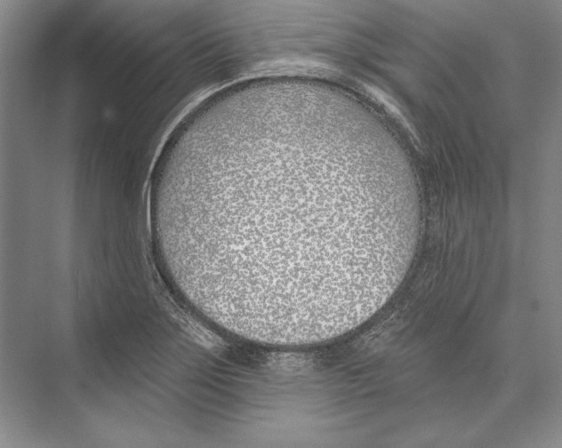 X0000072491275200608111552