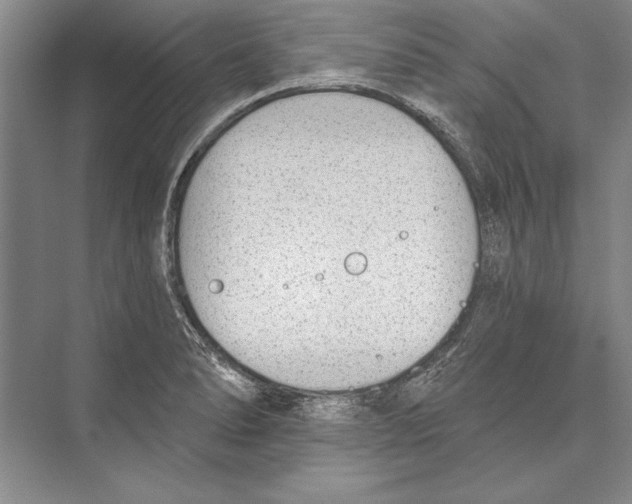 X0000072491278200608111552