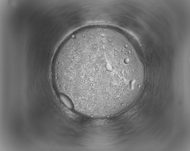 X0000072491279200608111552