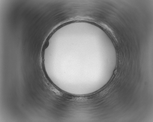 X0000072491280200608111552