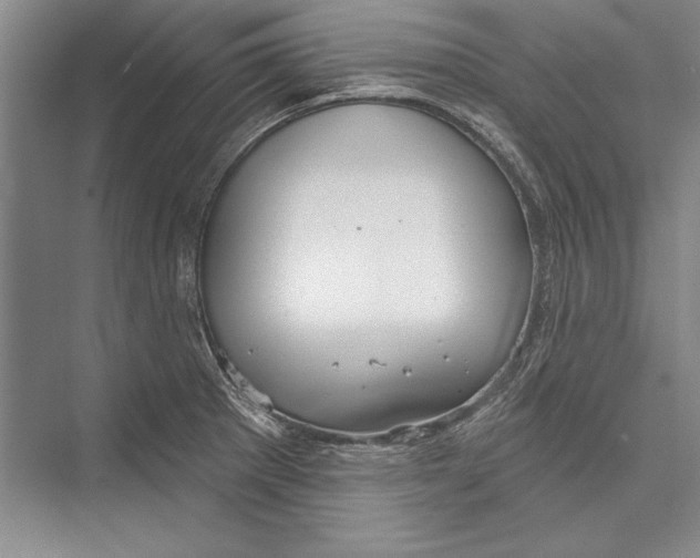 X0000072491281200608111552