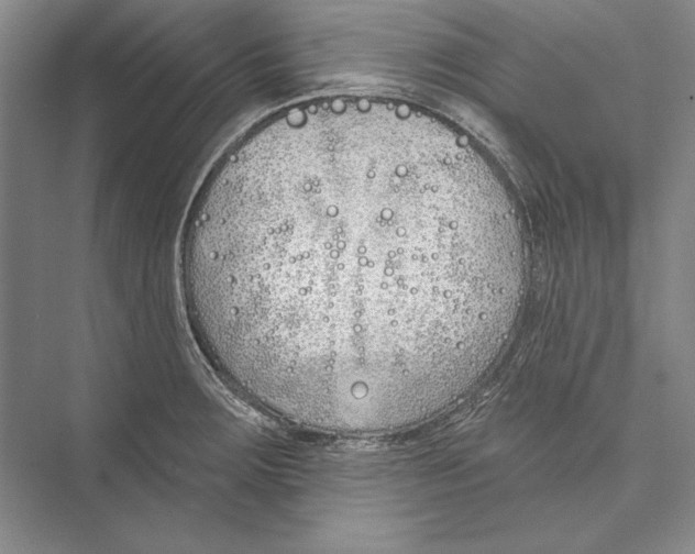 X0000072491283200608111552