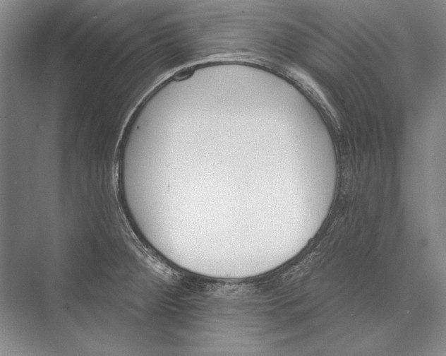 X0000072491284200608111552