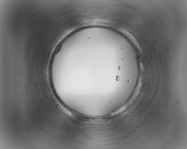 X0000072491285200608111552