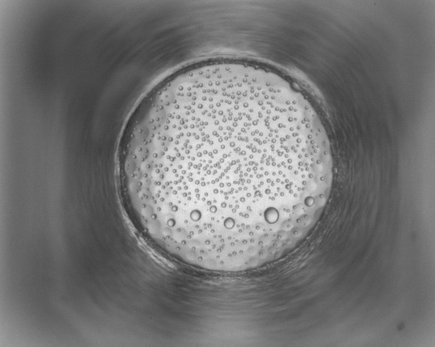 X0000072491287200608111552