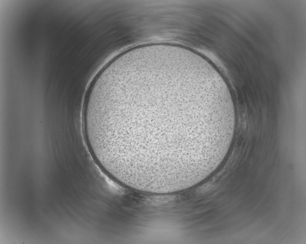 X0000072491294200608111552