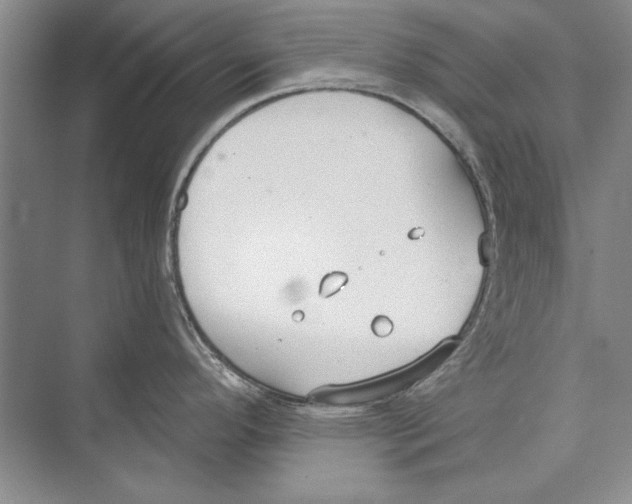 X0000072491296200608111552