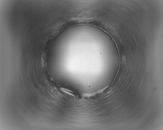 X0000072491300200608111551