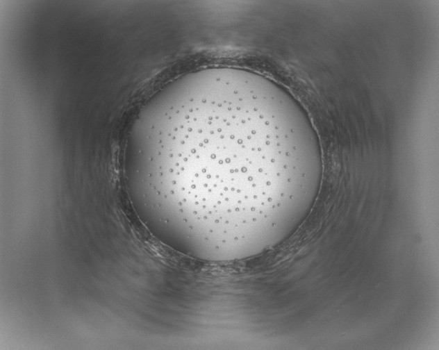 X0000072491301200608111551