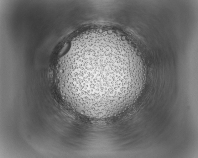 X0000072491302200608111551