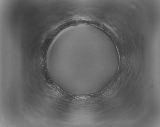 X0000072491303200608111551