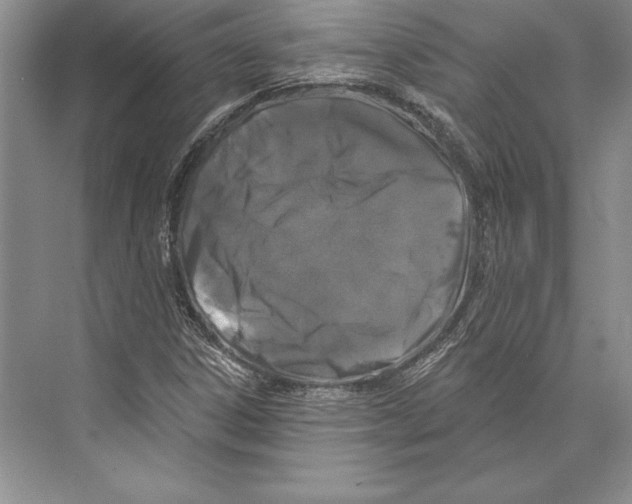 X0000072491306200608111551