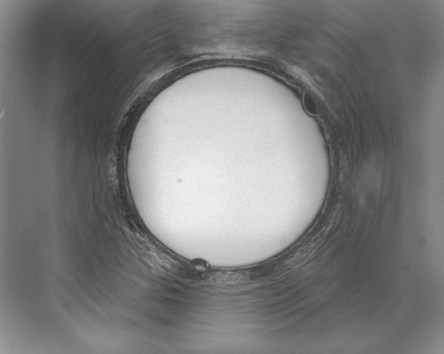 X0000072491307200608111551