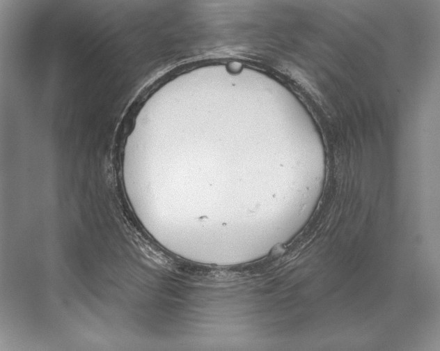 X0000072491308200608111551