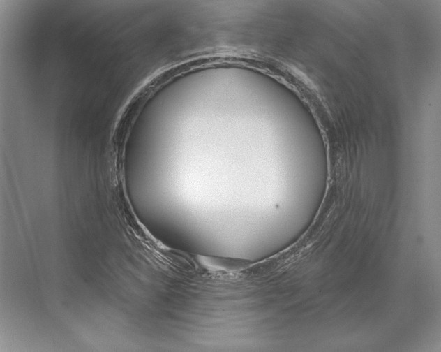 X0000072491310200608111551