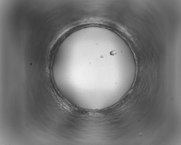 X0000072491312200608111552