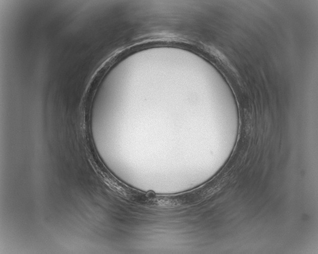 X0000072491318200608111552