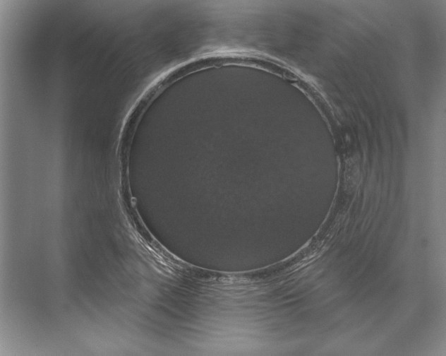 X0000072491319200608111552