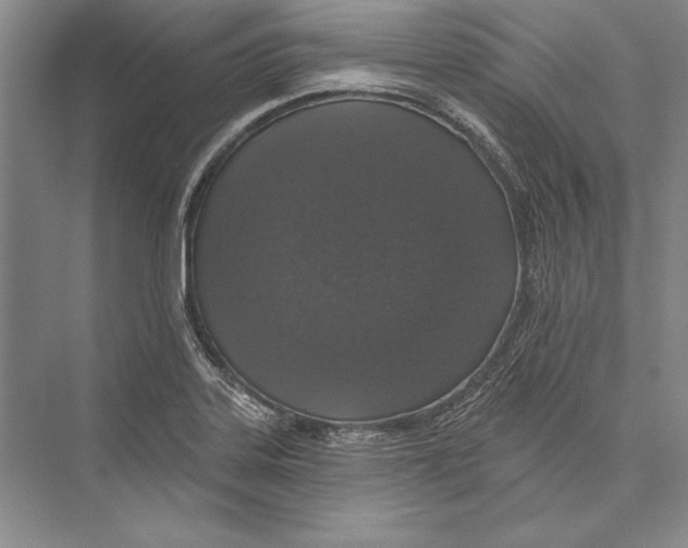 X0000072491323200608111552