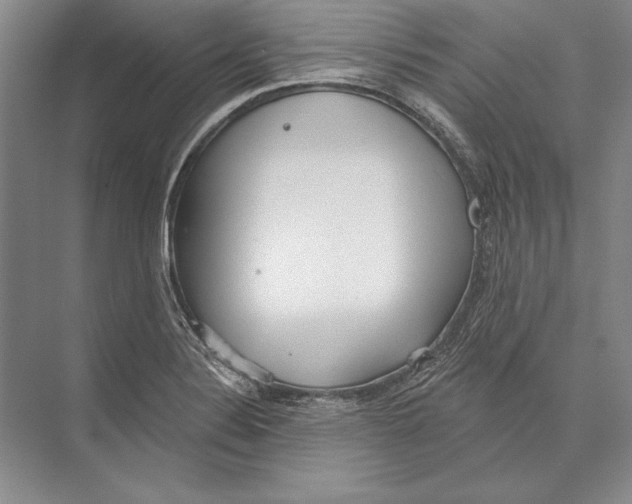 X0000072491324200608111552