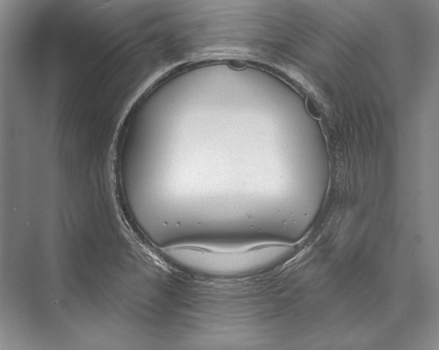 X0000072491325200608111552