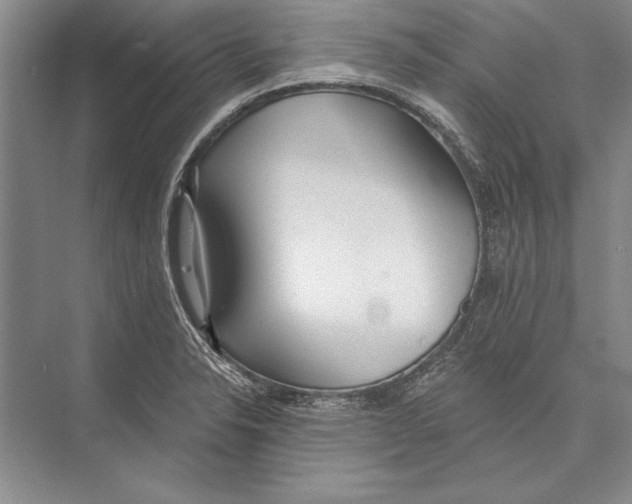 X0000072491326200608111552