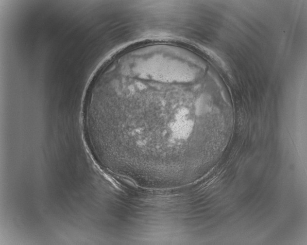 X0000072491327200608111552