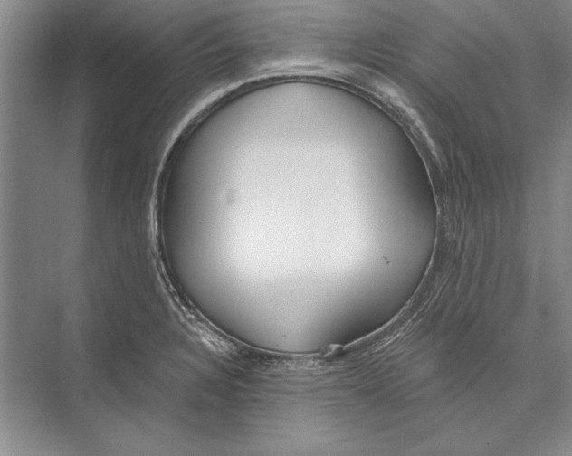 X0000072491328200608111552