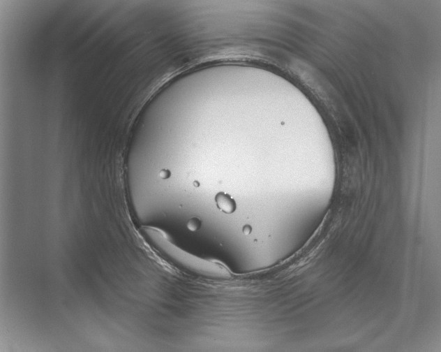 X0000072491329200608111552