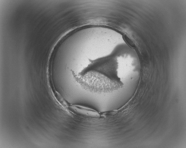 X0000072491331200608111552