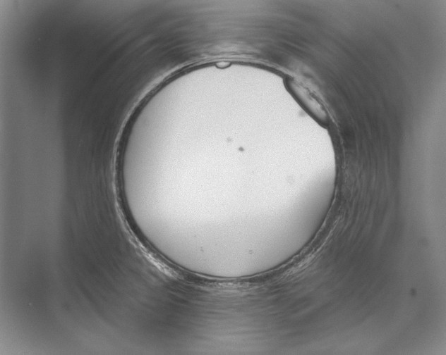 X0000072491333200608111552