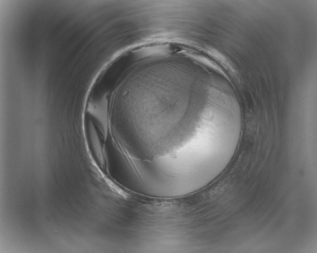 X0000072491334200608111552