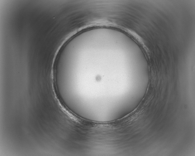 X0000072491335200608111552