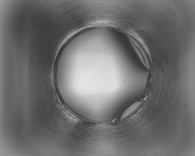 X0000072491336200608111552