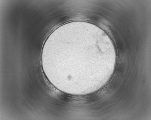 X0000072491338200608111552