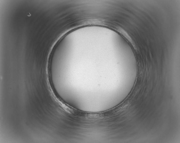 X0000072491339200608111552